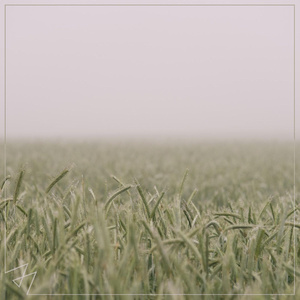 久久夜色精品国产
